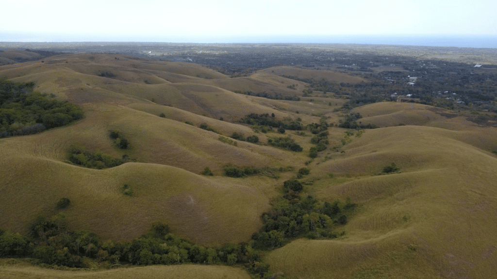 bukit ledongara sumba barat daya
