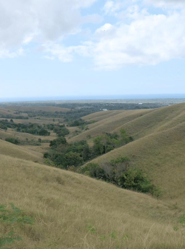 bukit ledongara sumba barat daya