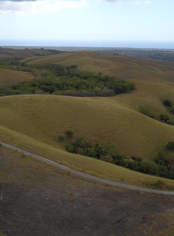 bukit ledongara sumba barat daya