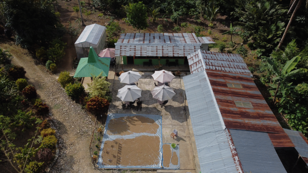 aroma kopi sumba barat daya sumbadaya