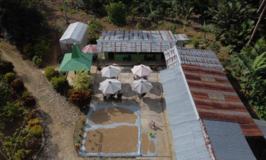 aroma kopi sumba barat daya sumbadaya