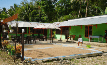 aroma kopi sumba