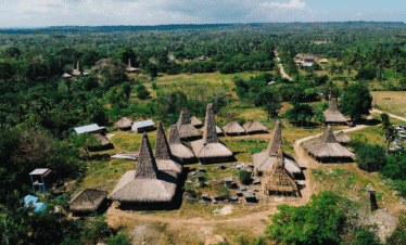 parona baroro