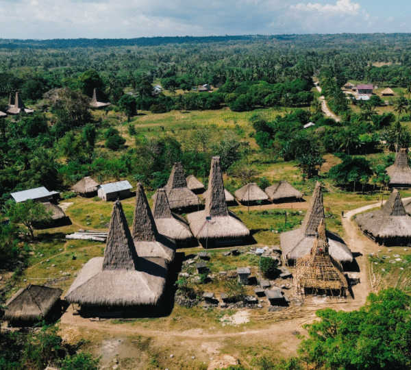 parona baroro