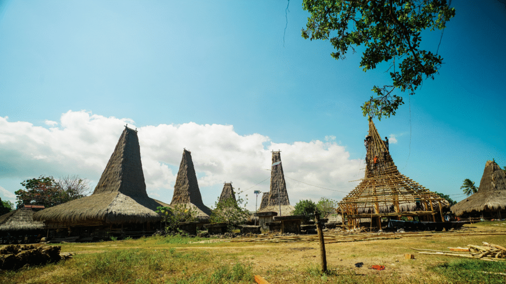 parona baroro sumba barat daya