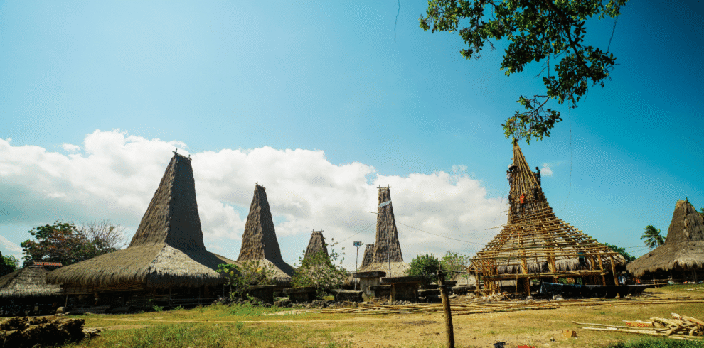 parona baroro sumba barat daya