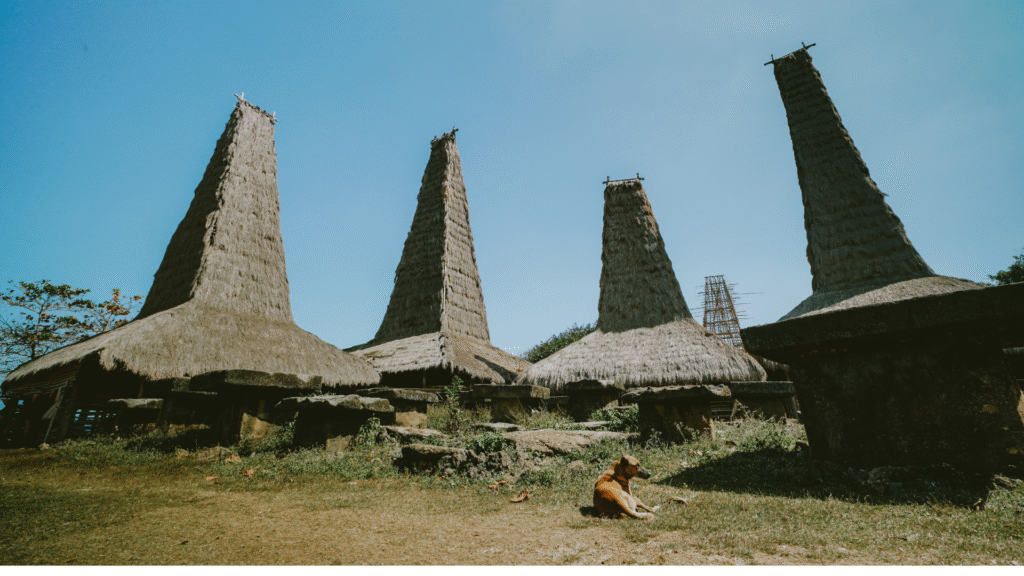 kampung adat ratenggaro sumba barat daya