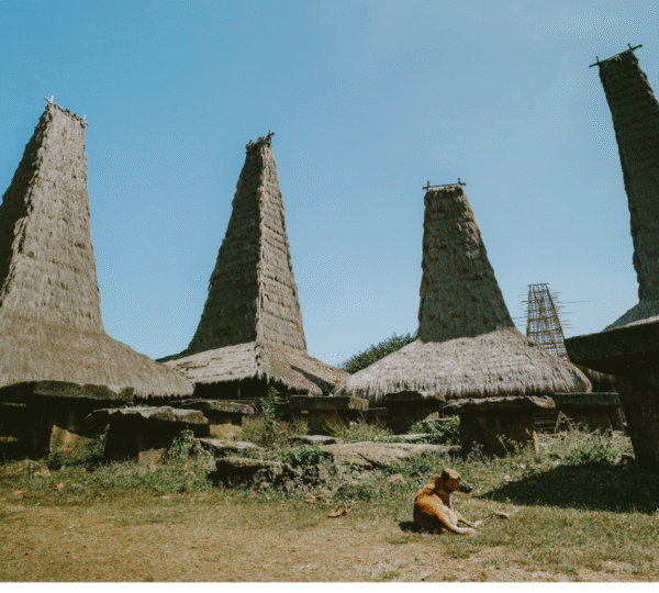 kampung adat ratenggaro sumba barat daya