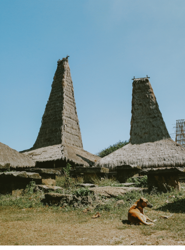 kampung adat ratenggaro sumba barat daya
