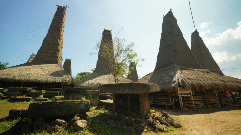 kampung adat ratenggaro warisana budaya sumba barat daya