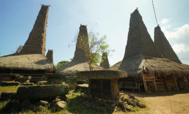 kampung adat ratenggaro warisana budaya sumba barat daya