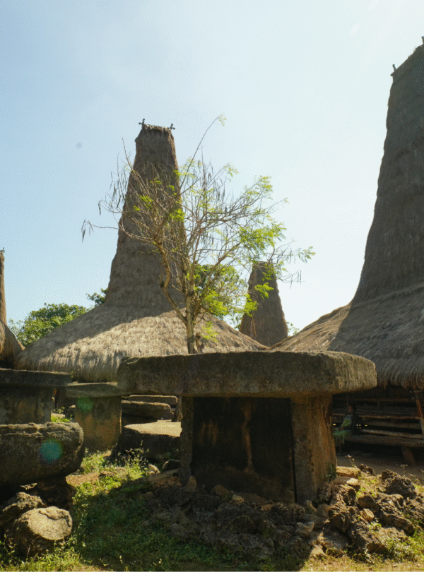kampung adat ratenggaro warisana budaya sumba barat daya