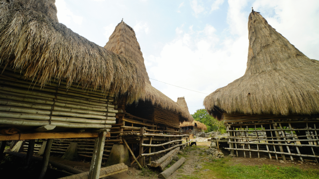 kampung adat tossi sumbadaya