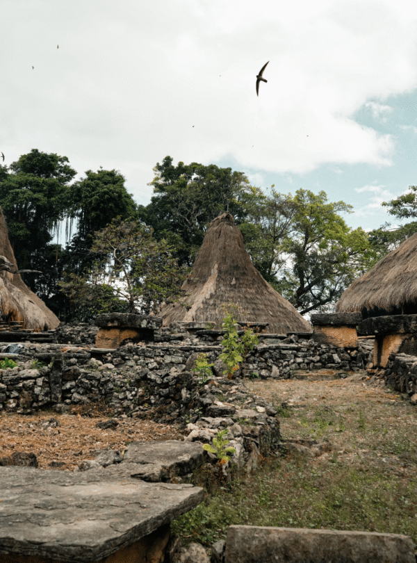 kampung adat totok kalada sumba barat daya wisata budaya