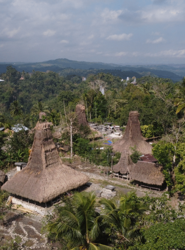 kampung adat weelewo sumba barat daya