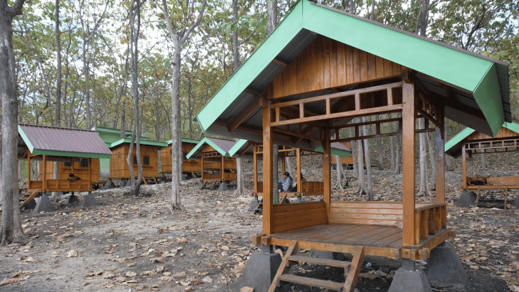 mareda kamau sumba barat daya