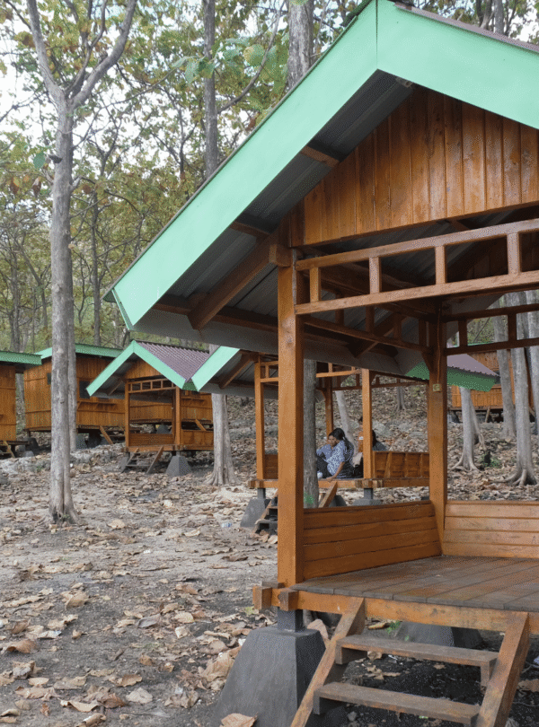 mareda kamau sumba barat daya