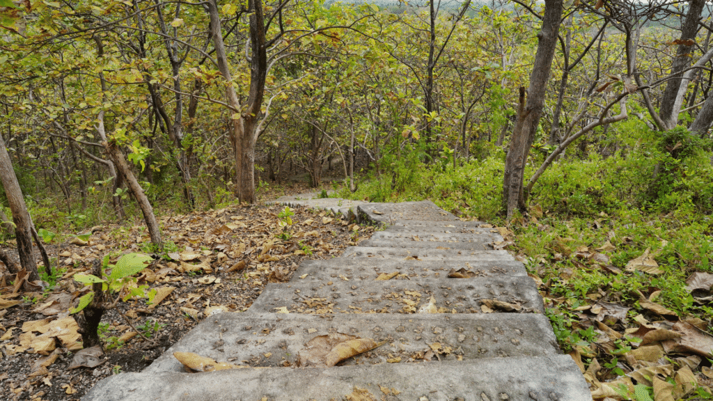 mareda kamau sumba barat daya indonesia