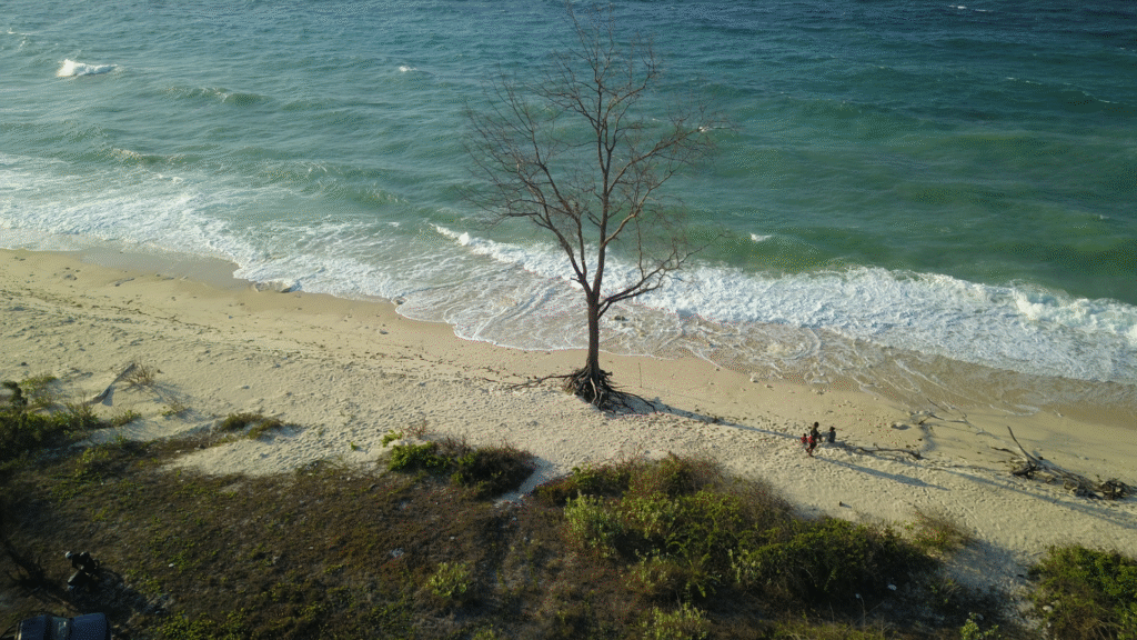 pantai mananga aba sumba barat daya