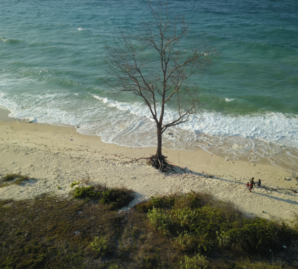 pantai mananga aba sumba barat daya