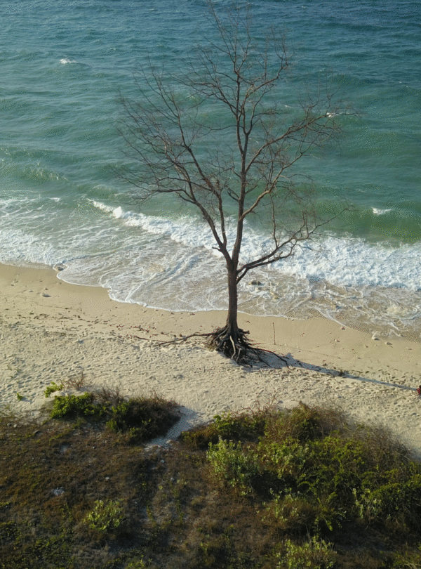 pantai mananga aba sumba barat daya