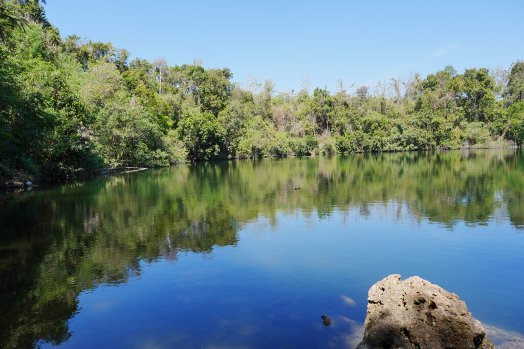 Danau Wee Wini